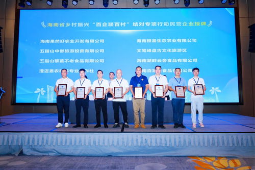 政企村協(xié)同共建，海南專(zhuān)項(xiàng)行動(dòng)引領(lǐng)鄉(xiāng)村振興新篇章——陵水現(xiàn)場(chǎng)會(huì)圓滿召開(kāi)